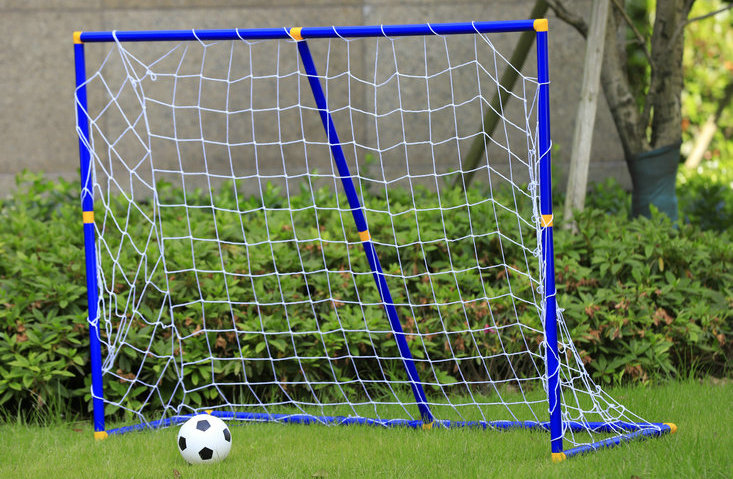 Toy Goal Net